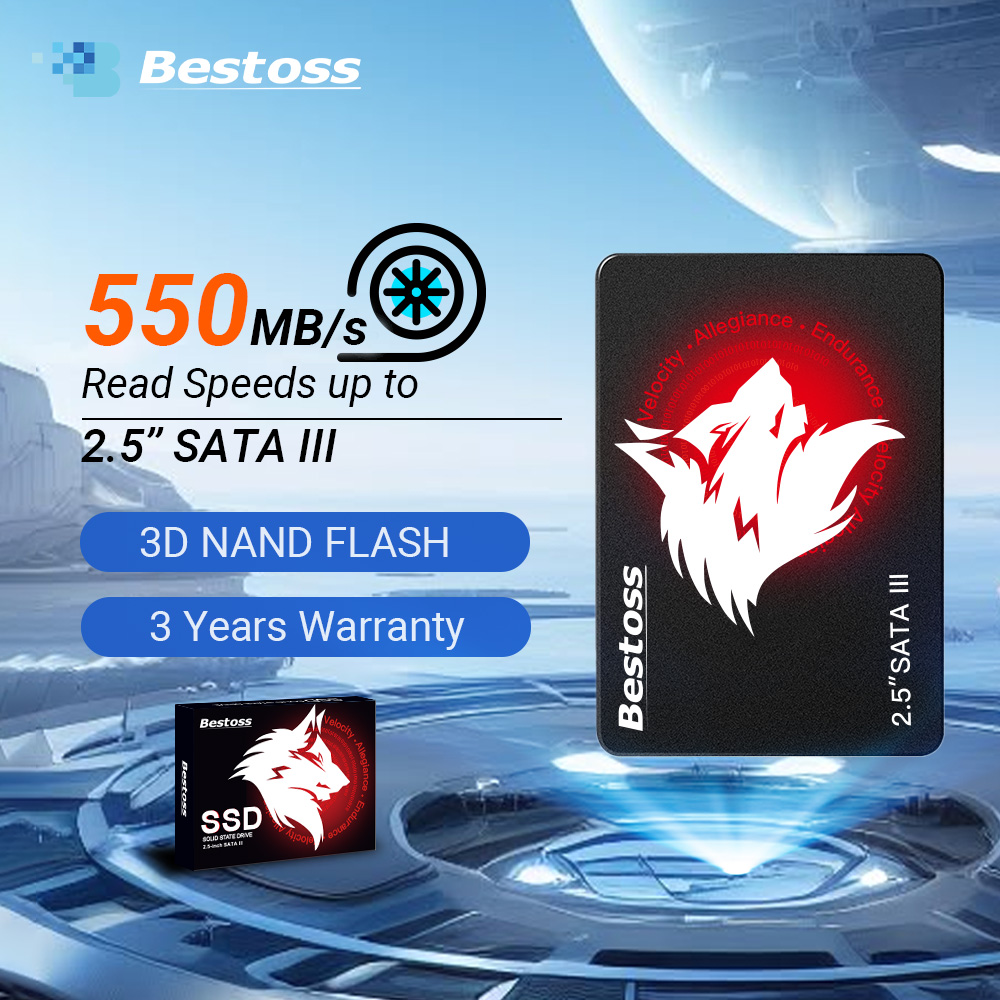 Bestoss SSD da 2,5 pollici Sat - Samsung Ssd Evo 870 recensione e prezzo